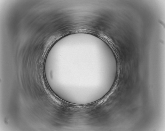 X0000096410049200801241034