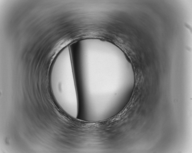 X0000096410050200801241034