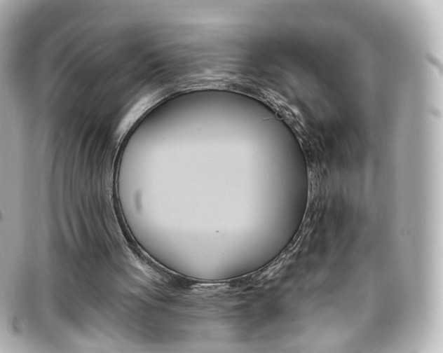 X0000096410051200801241034