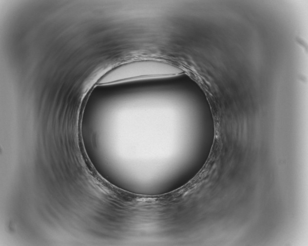 X0000096410052200801241034