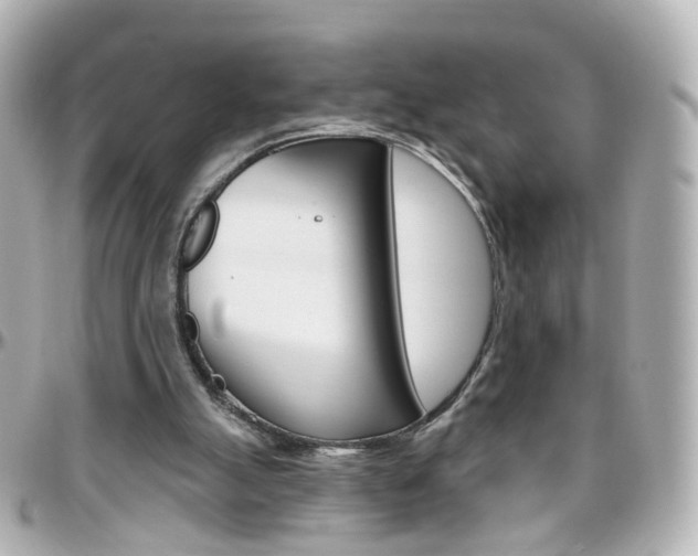 X0000096410055200801241034