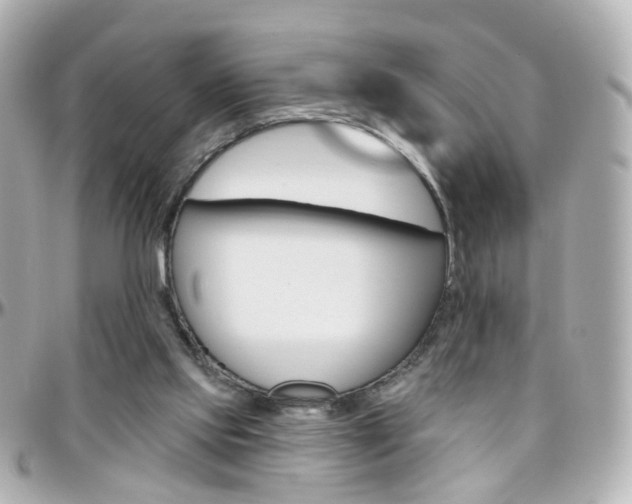 X0000096410061200801241034