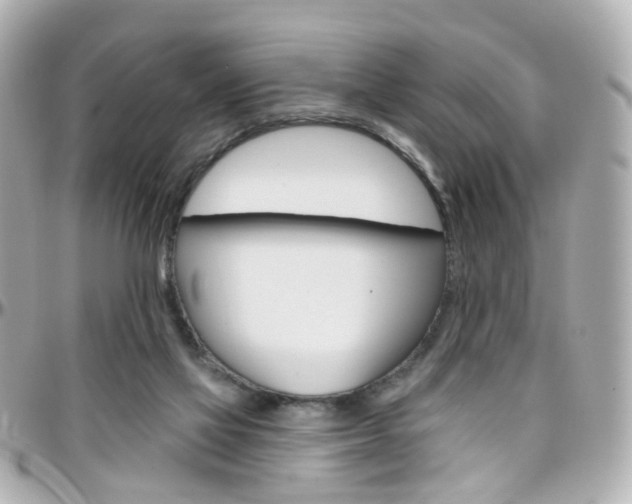 X0000096410069200801241034