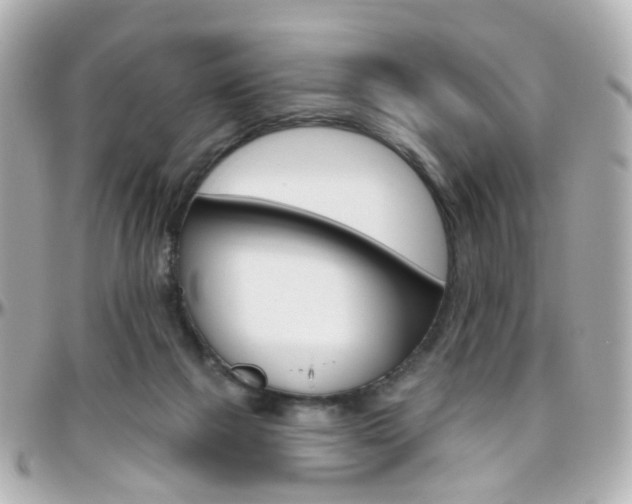 X0000096410073200801241034