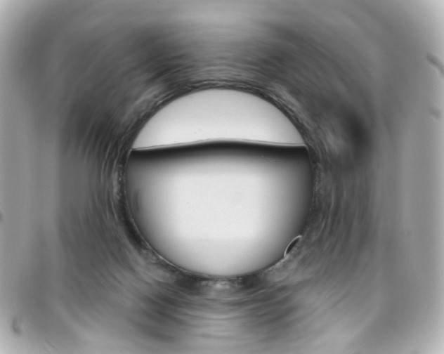 X0000096410074200801241034