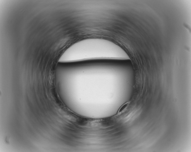 X0000096410078200801241035