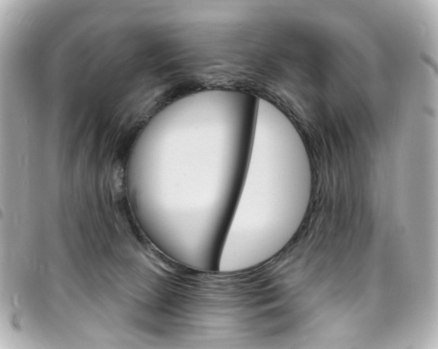 X0000096410081200801241035