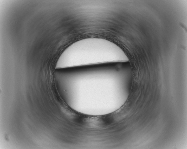 X0000096410086200801241035