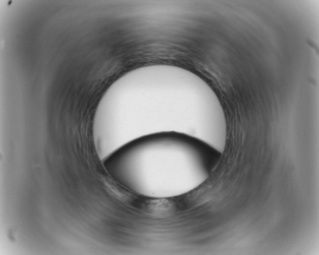 X0000096410087200801241035