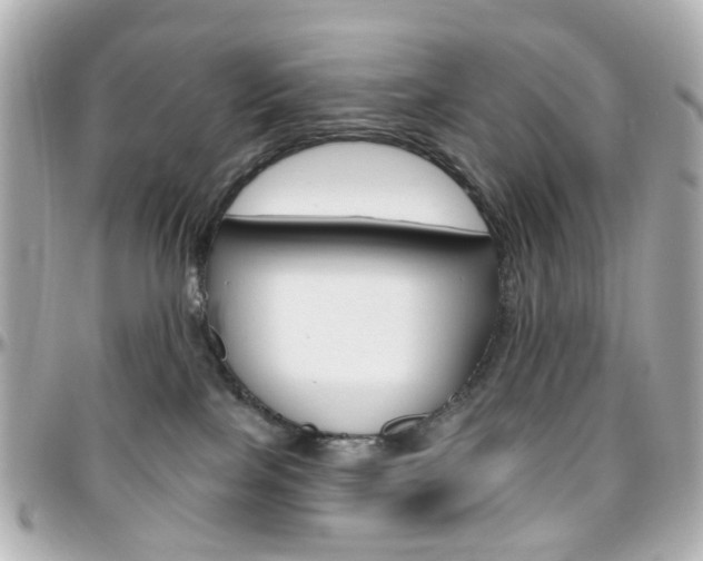 X0000096410089200801241035