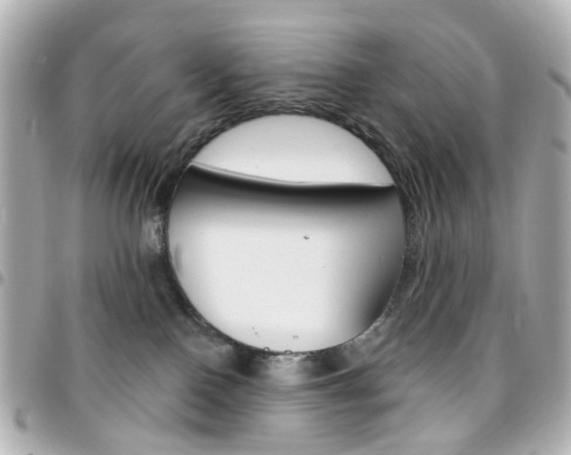 X0000096410090200801241035