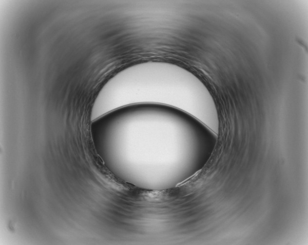 X0000096410092200801241035