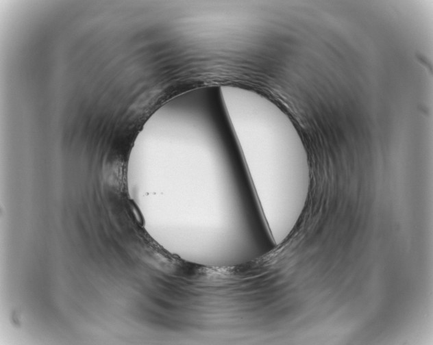 X0000096410093200801241035