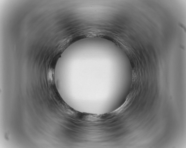 X0000096410094200801241035