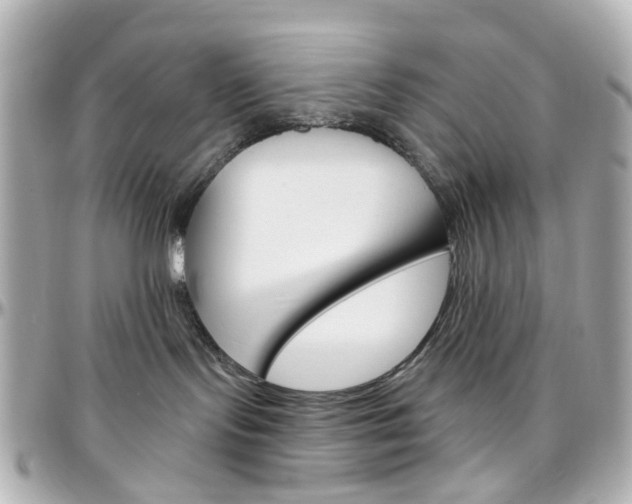 X0000096410095200801241035