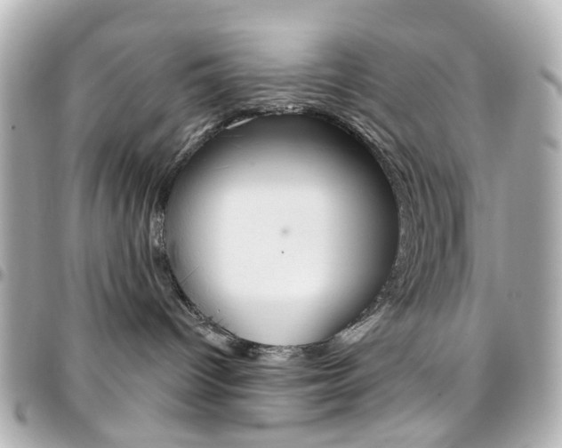 X0000096410096200801241035