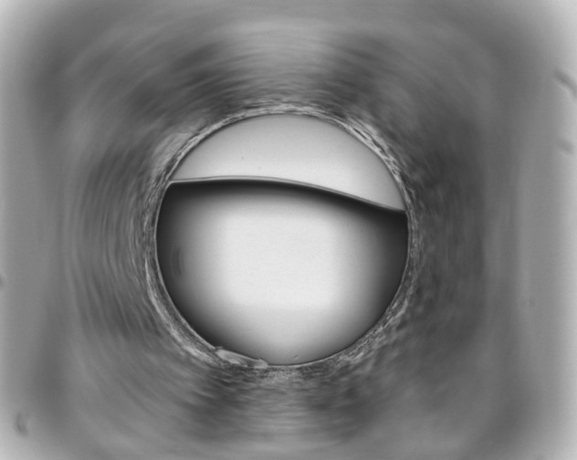 X0000096410097200801241034