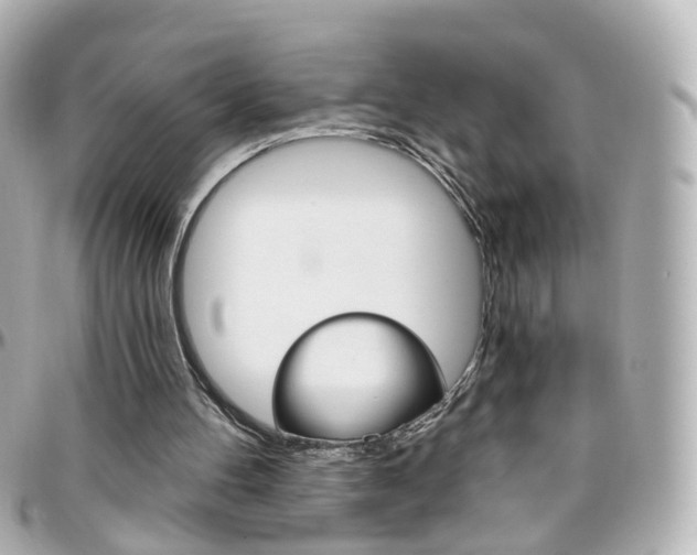 X0000096410100200801241034