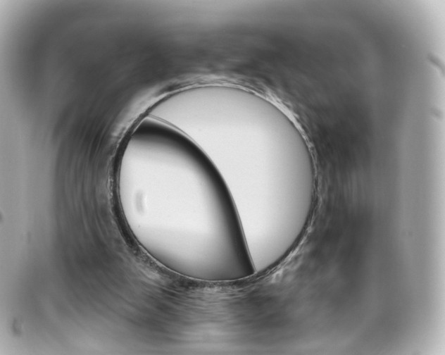 X0000096410103200801241034