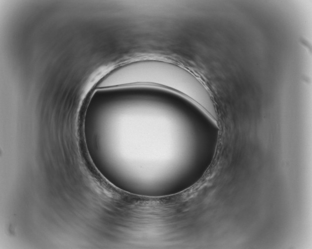 X0000096410104200801241034