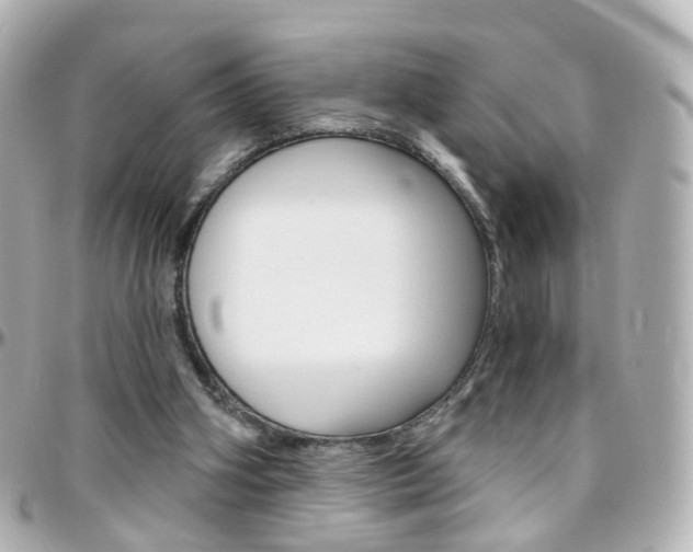 X0000096410106200801241034