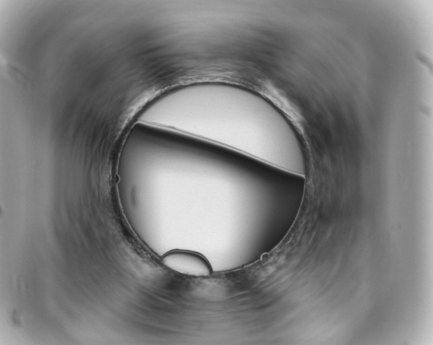 X0000096410107200801241034