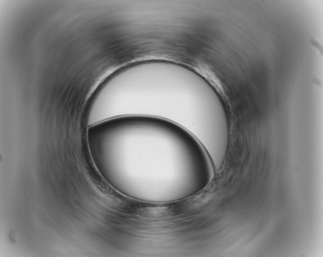 X0000096410108200801241034