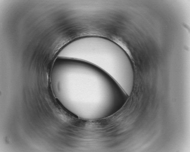 X0000096410109200801241034