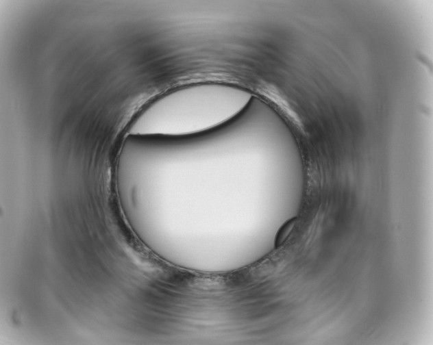 X0000096410110200801241034