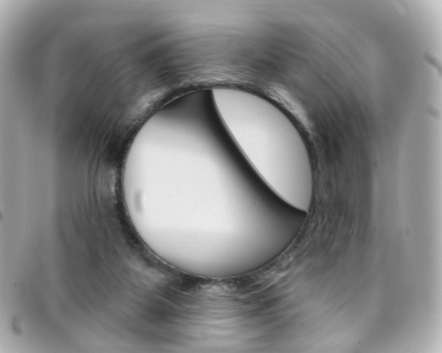 X0000096410115200801241034