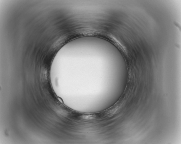 X0000096410117200801241034