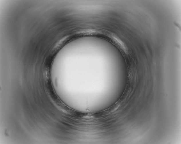 X0000096410119200801241034