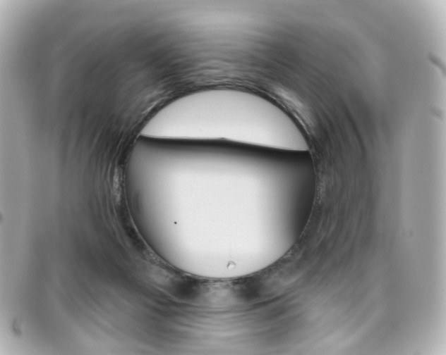 X0000096410121200801241034