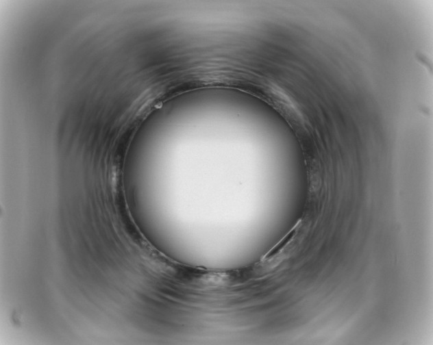 X0000096410124200801241034