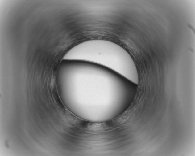 X0000096410129200801241034