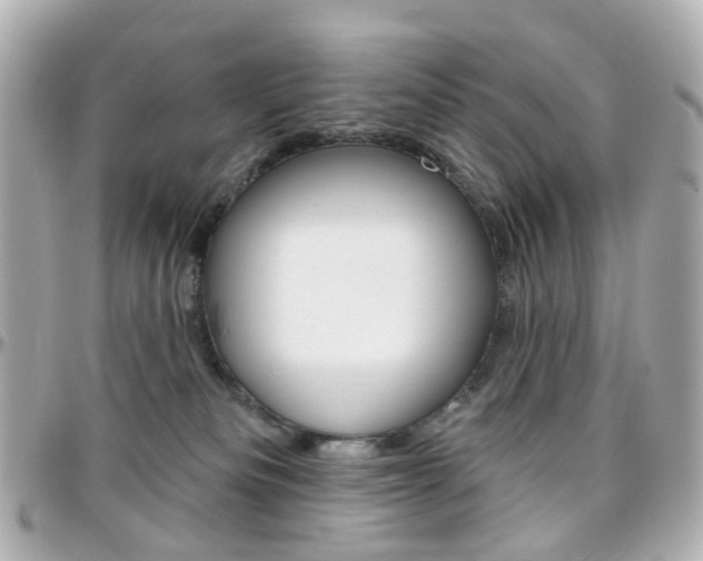 X0000096410133200801241033