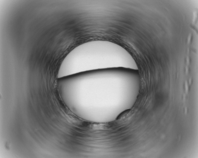 X0000096410134200801241033