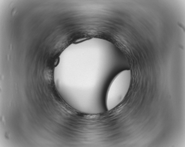 X0000096410135200801241033