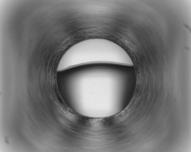 X0000096410136200801241033
