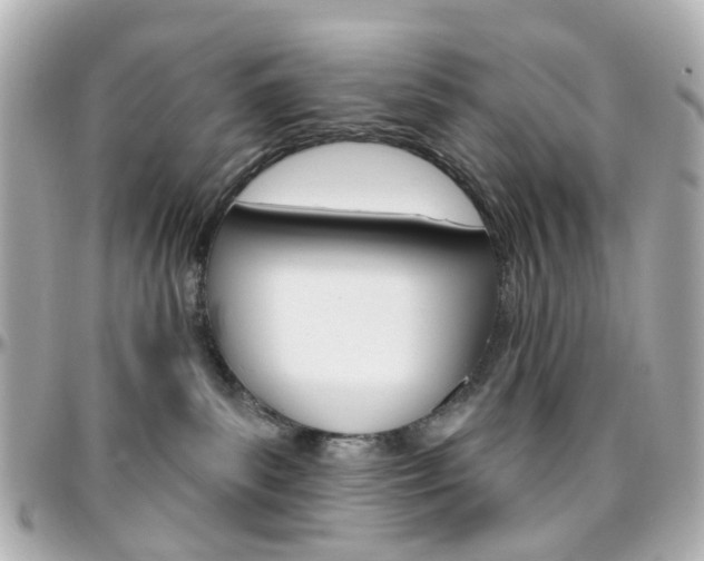 X0000096410139200801241033