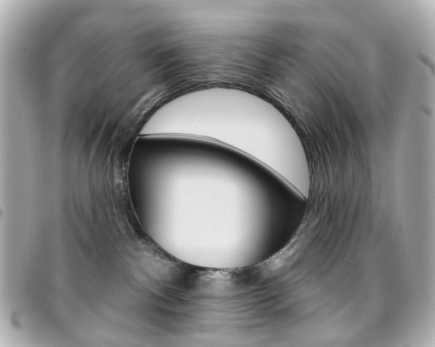 X0000096410140200801241033