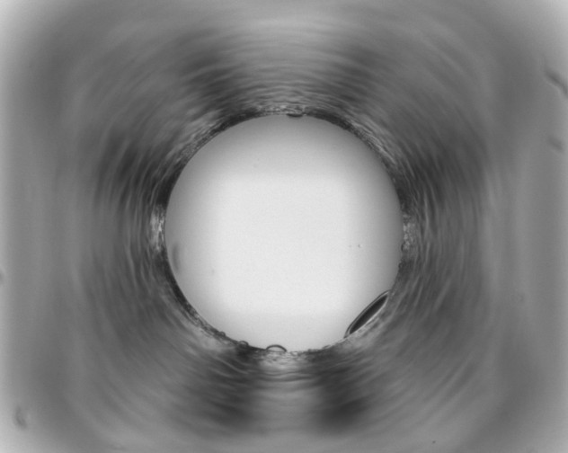 X0000096410142200801241033