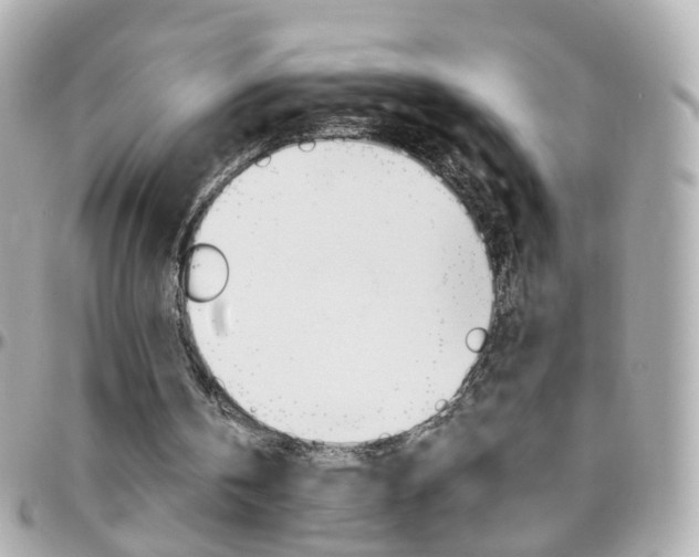 X0000096410146200801241033
