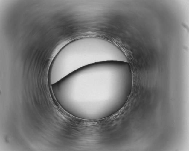 X0000096410147200801241033