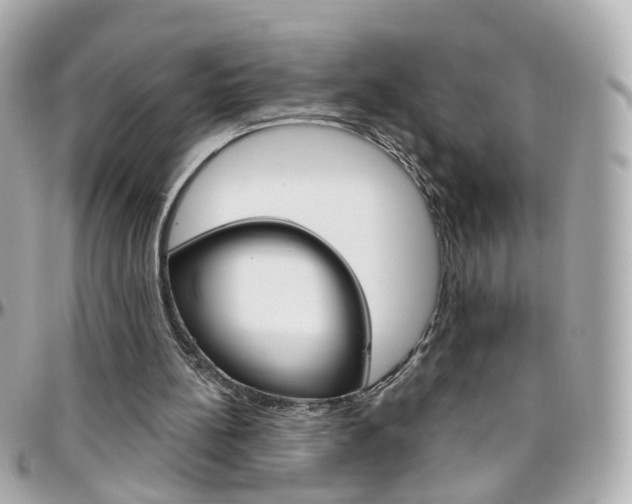 X0000096410148200801241033