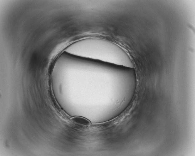 X0000096410149200801241033