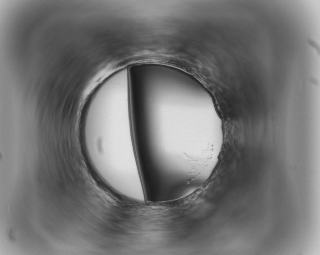 X0000096410150200801241033