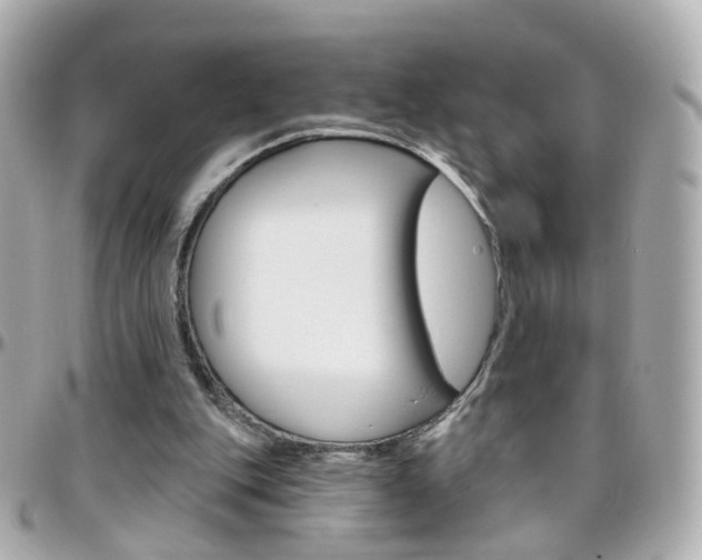 X0000096410151200801241033