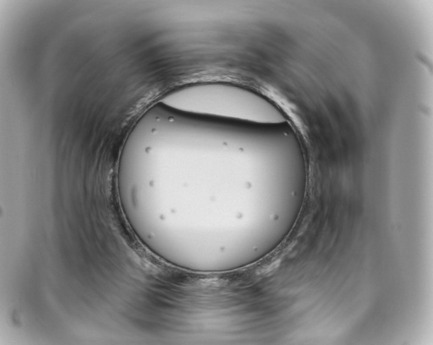 X0000096410153200801241033