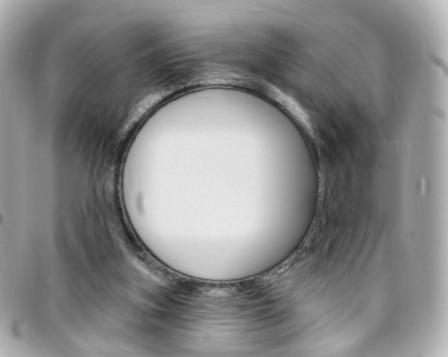 X0000096410155200801241033